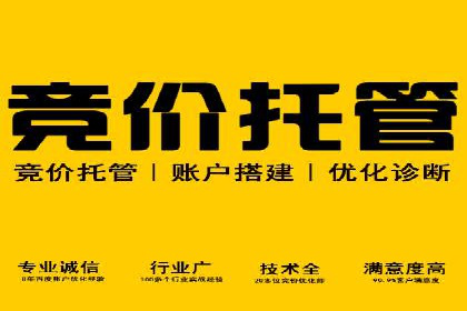深度剖析SEM代运营公司成功案例
